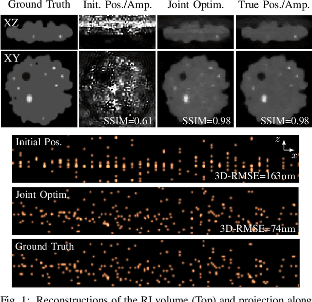 Figure 1 for Optical Diffraction Tomography Meets Fluorescence Localization Microscopy