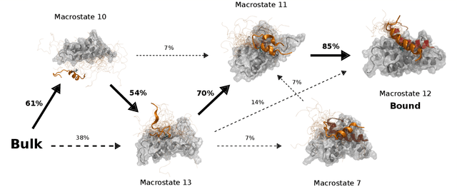 Figure 3 for Binding-and-folding recognition of an intrinsically disordered protein using online learning molecular dynamics