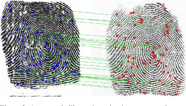 Figure 3 for Minutiae-Guided Fingerprint Embeddings via Vision Transformers