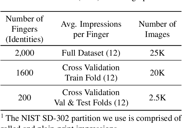 Figure 4 for Minutiae-Guided Fingerprint Embeddings via Vision Transformers