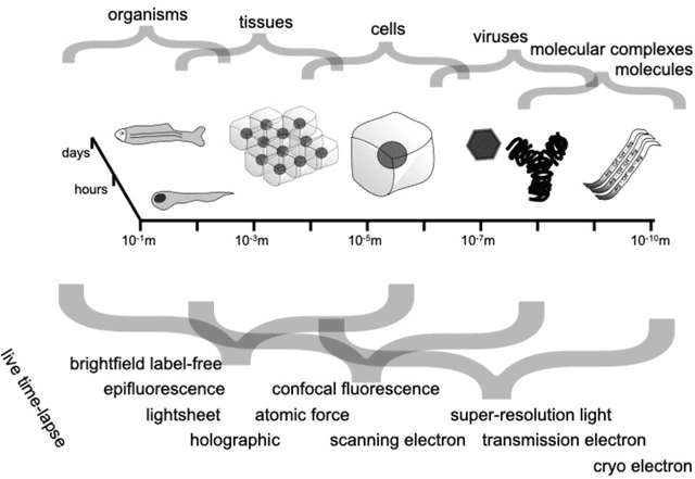 Figure 1 for Roadmap on Deep Learning for Microscopy