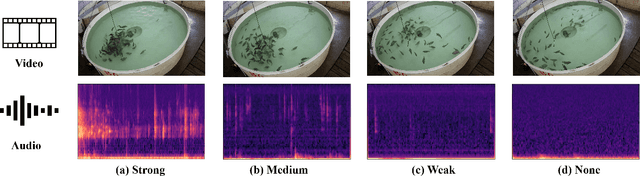 Figure 2 for Multimodal Fish Feeding Intensity Assessment in Aquaculture