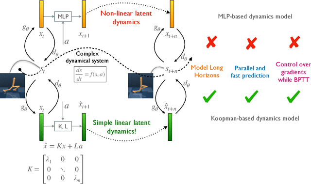 Figure 1 for Efficient Dynamics Modeling in Interactive Environments with Koopman Theory