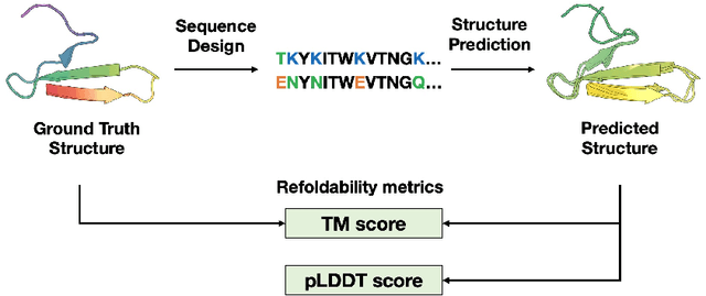 Figure 1 for PDB-Struct: A Comprehensive Benchmark for Structure-based Protein Design