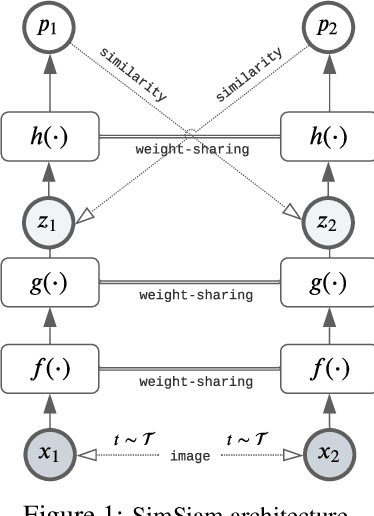 Figure 1 for Exploring Image Augmentations for Siamese Representation Learning with Chest X-Rays