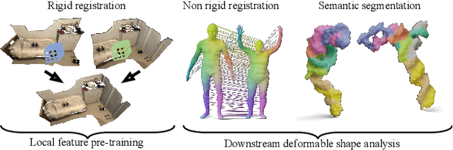 Figure 1 for Generalizable Local Feature Pre-training for Deformable Shape Analysis
