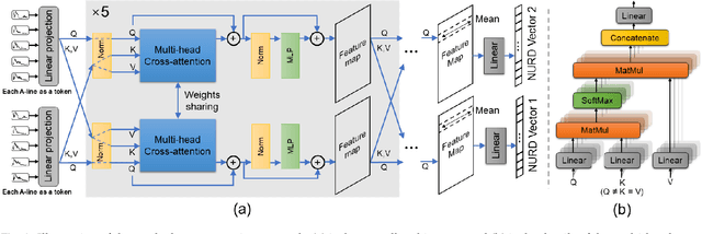 Figure 4 for Cross-attention learning enables real-time nonuniform rotational distortion correction in OCT