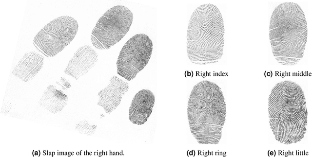 Figure 1 for Deep Age-Invariant Fingerprint Segmentation System