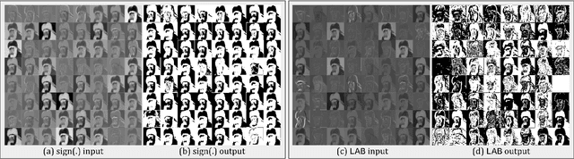 Figure 1 for LAB: Learnable Activation Binarizer for Binary Neural Networks