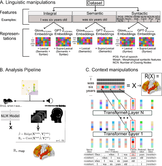 Figure 1 for Information-Restricted Neural Language Models Reveal Different Brain Regions' Sensitivity to Semantics, Syntax and Context