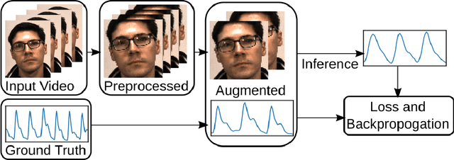 Figure 3 for Promoting Generalization in Cross-Dataset Remote Photoplethysmography