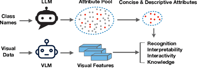 Figure 1 for Learning Concise and Descriptive Attributes for Visual Recognition