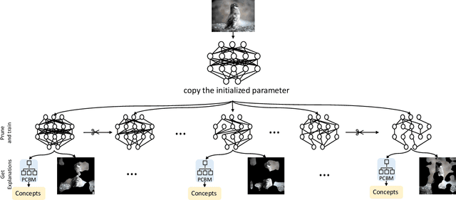Figure 1 for Exploring the Lottery Ticket Hypothesis with Explainability Methods: Insights into Sparse Network Performance
