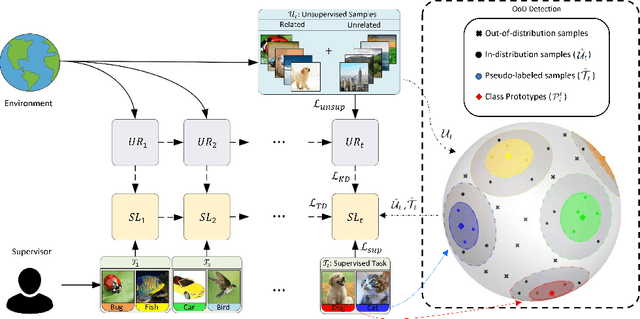 Figure 1 for A Distinct Unsupervised Reference Model From The Environment Helps Continual Learning