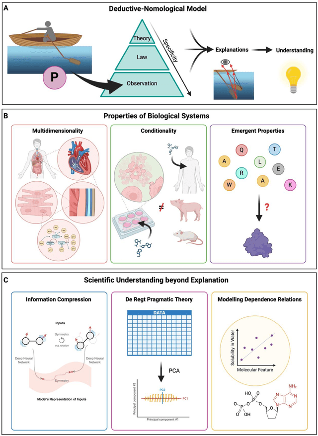 Figure 1 for Understanding Biology in the Age of Artificial Intelligence