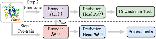 Figure 1 for A Survey on Protein Representation Learning: Retrospect and Prospect