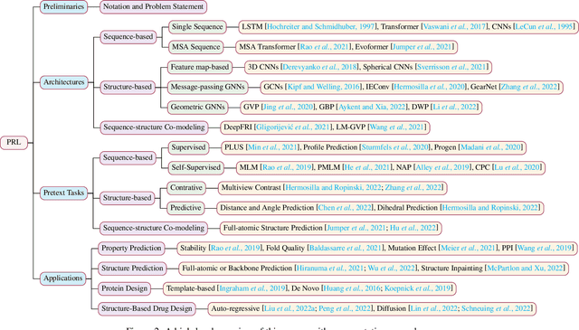 Figure 3 for A Survey on Protein Representation Learning: Retrospect and Prospect