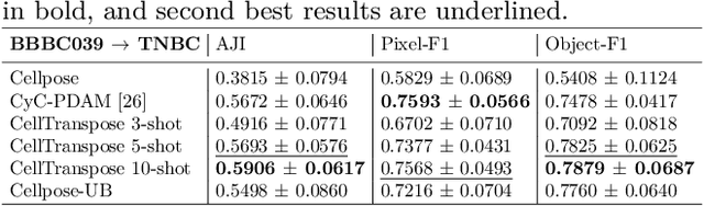 Figure 4 for CellTranspose: Few-shot Domain Adaptation for Cellular Instance Segmentation