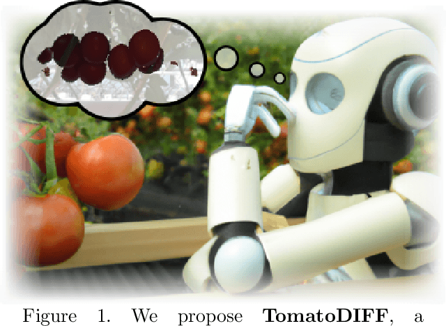 Figure 1 for TomatoDIFF: On-plant Tomato Segmentation with Denoising Diffusion Models