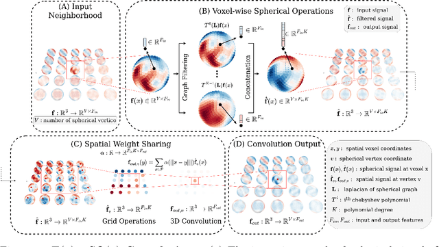 Figure 3 for $E(3) \times SO(3)$-Equivariant Networks for Spherical Deconvolution in Diffusion MRI