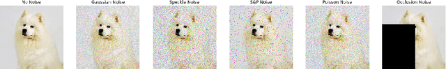 Figure 4 for Data Augmentation in Training CNNs: Injecting Noise to Images