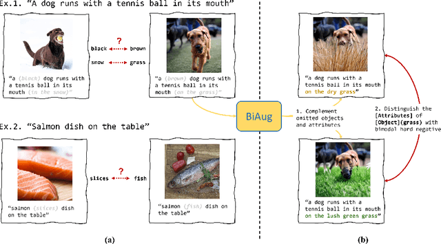 Figure 1 for Towards reporting bias in visual-language datasets: bimodal augmentation by decoupling object-attribute association