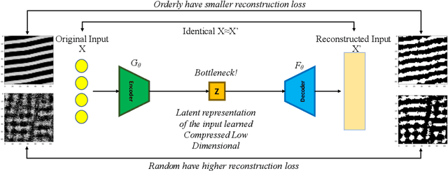 Figure 4 for Capturing Emerging Complexity in Lenia