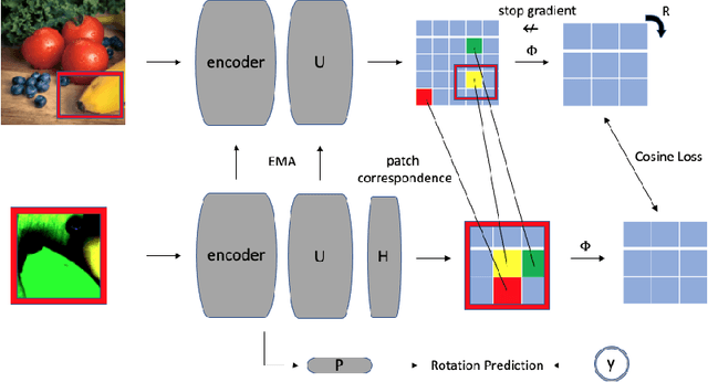 Figure 1 for Self-Supervised Learning from Non-Object Centric Images with a Geometric Transformation Sensitive Architecture