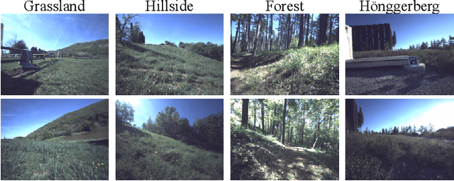 Figure 4 for Seeing Through the Grass: Semantic Pointcloud Filter for Support Surface Learning