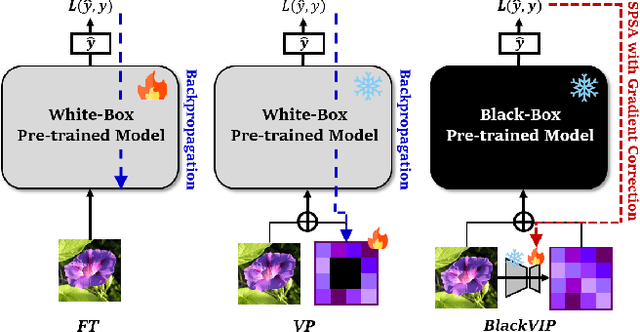 Figure 1 for BlackVIP: Black-Box Visual Prompting for Robust Transfer Learning