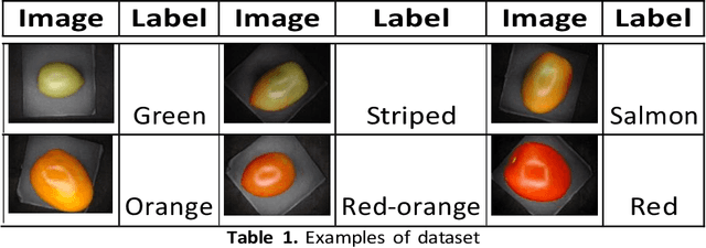 Figure 1 for Detection of Tomato Ripening Stages using Yolov3-tiny