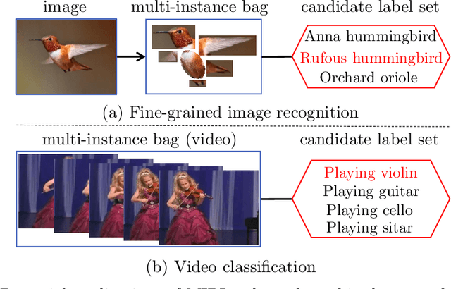 Figure 3 for Multi-Instance Partial-Label Learning: Towards Exploiting Dual Inexact Supervision