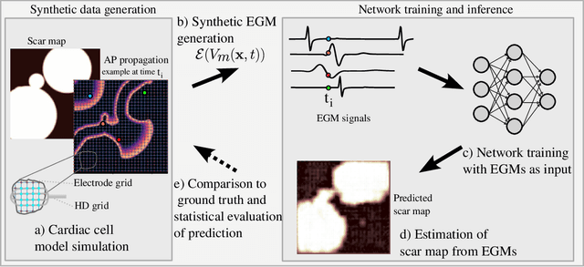 Figure 1 for Estimating Cardiac Tissue Conductivity from Electrograms with Fully Convolutional Networks