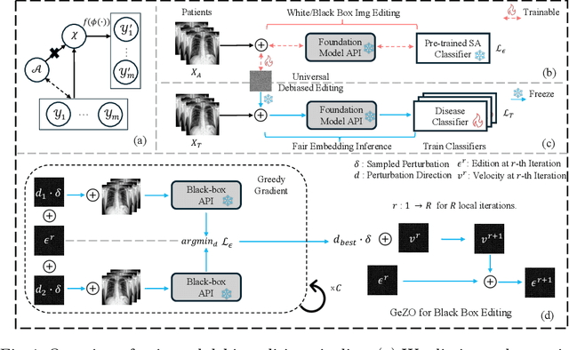 Figure 1 for Universal Debiased Editing for Fair Medical Image Classification