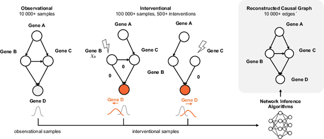 Figure 1 for CausalBench: A Large-scale Benchmark for Network Inference from Single-cell Perturbation Data