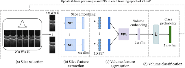 Figure 1 for Transformer-based end-to-end classification of variable-length volumetric data