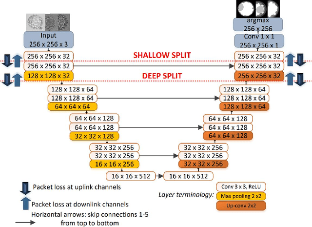 Figure 1 for SplitFed resilience to packet loss: Where to split, that is the question