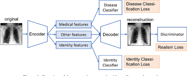 Figure 2 for Anonymizing medical case-based explanations through disentanglement