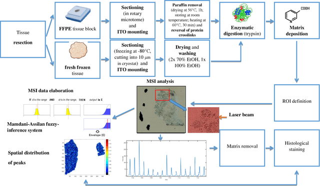 Figure 2 for Isotopic envelope identification by analysis of the spatial distribution of components in MALDI-MSI data
