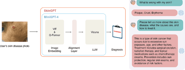 Figure 1 for SkinGPT: A Dermatology Diagnostic System with Vision Large Language Model