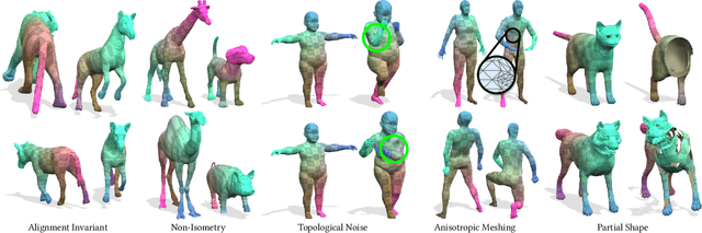 Figure 1 for Unsupervised Learning of Robust Spectral Shape Matching