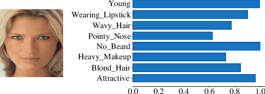 Figure 1 for Semantic Adversarial Attacks on Face Recognition through Significant Attributes