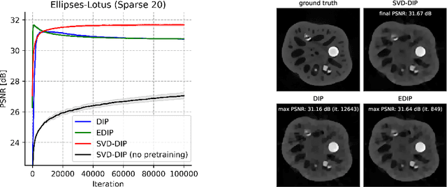 Figure 3 for SVD-DIP: Overcoming the Overfitting Problem in DIP-based CT Reconstruction