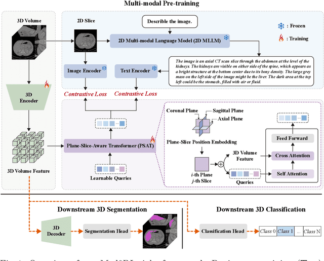 Figure 1 for Med3DInsight: Enhancing 3D Medical Image Understanding with 2D Multi-Modal Large Language Models