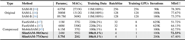 Figure 2 for 0.1% Data Makes Segment Anything Slim