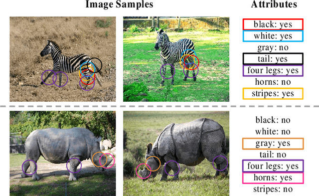 Figure 1 for Vision Transformer-based Feature Extraction for Generalized Zero-Shot Learning