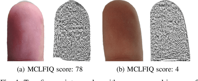 Figure 1 for MCLFIQ: Mobile Contactless Fingerprint Image Quality