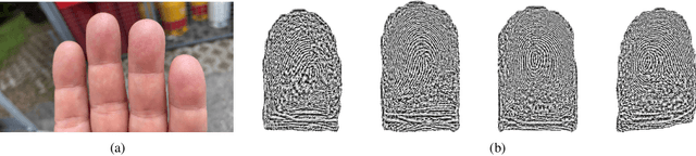 Figure 4 for MCLFIQ: Mobile Contactless Fingerprint Image Quality