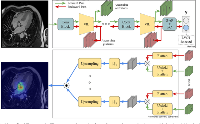 Figure 1 for Explainable Image Quality Assessment for Medical Imaging