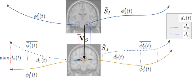 Figure 2 for A metric to compare the anatomy variation between image time series